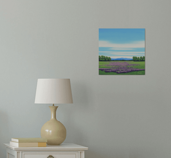 Lavender Field - Flower Field