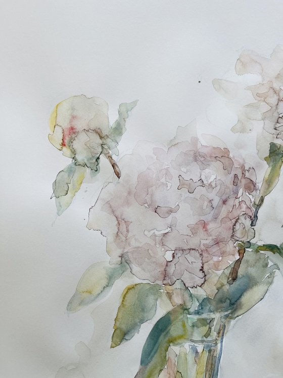 Peonies 50x65 cm 2025