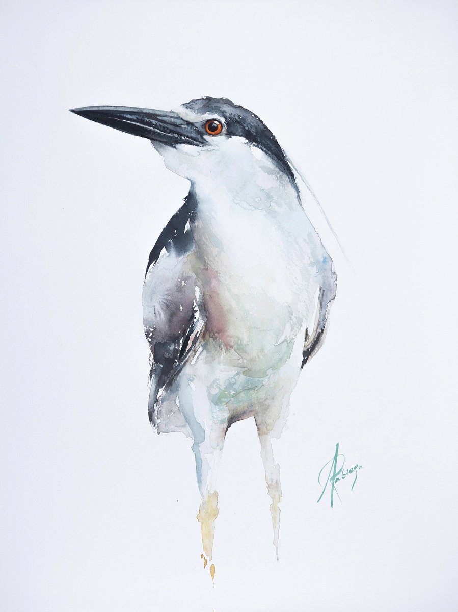 Animal Watercolour By Andrzej Rabiega, 12 X 16, Black-Crowned Night Heron, Original Artwork