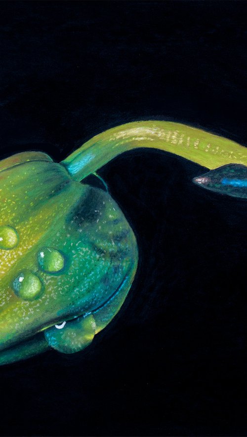 After The Rain by Dietrich Moravec