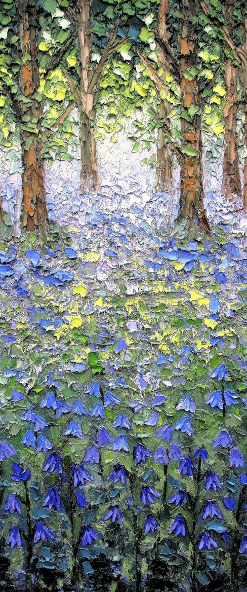 Bluebell wood by Paige Castile
