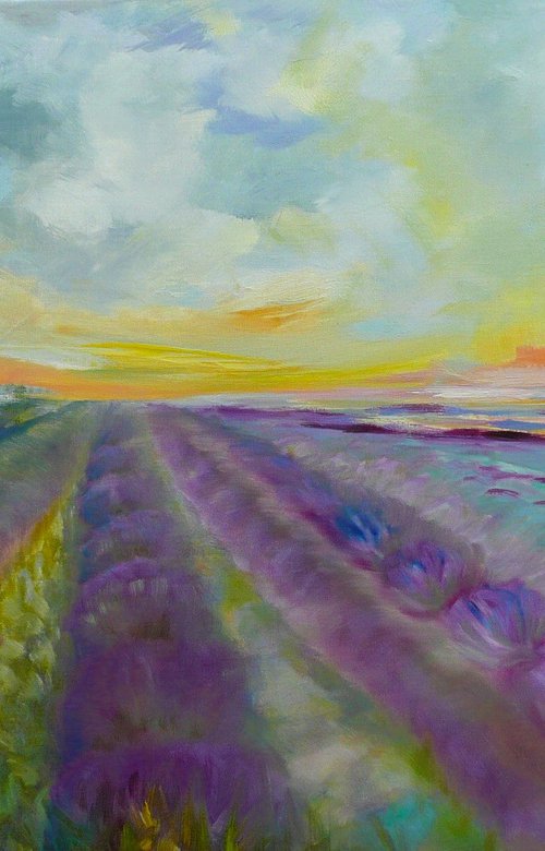 Lavender Fields 2026 by Lesley Blackburn