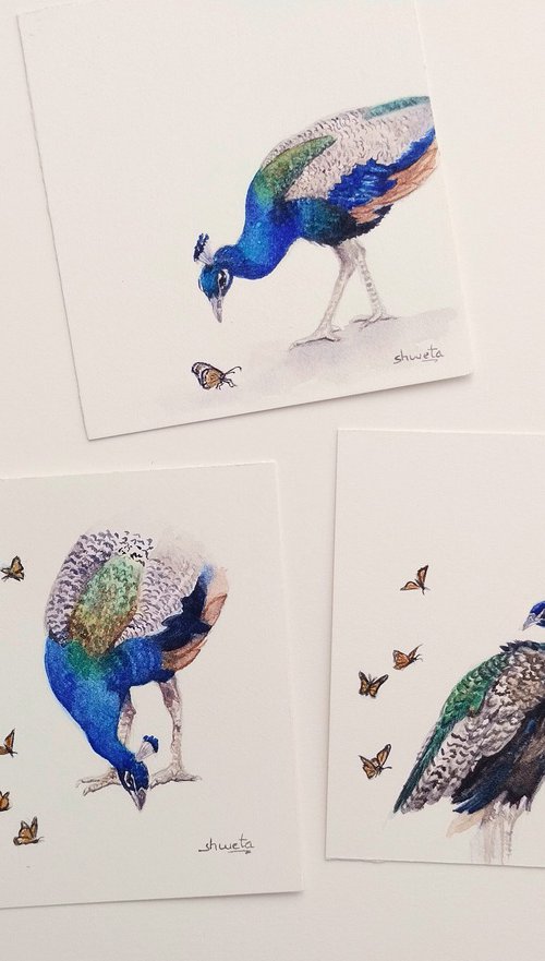 Peacock Miniature Art by Shweta  Mahajan