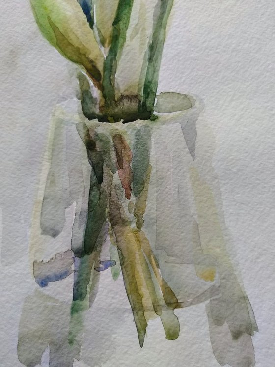 Irises. Original watercolour painting.