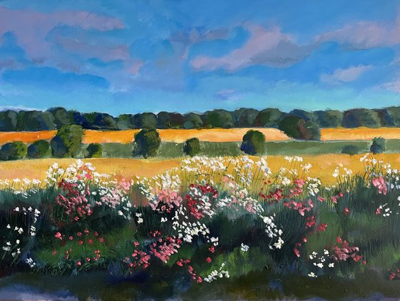 'Wildflowers along the edge of the road, Fife'