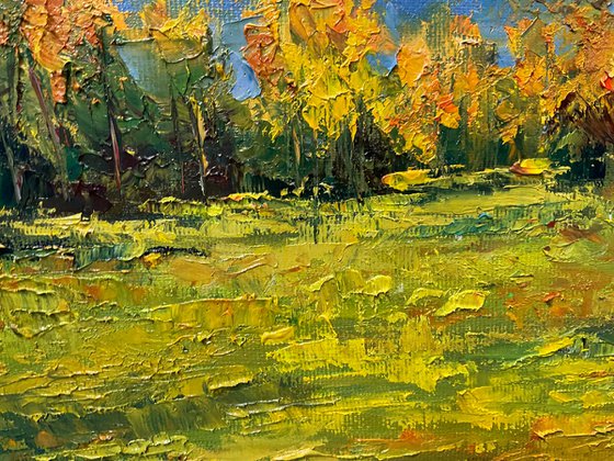 Sun after rain. Autumn