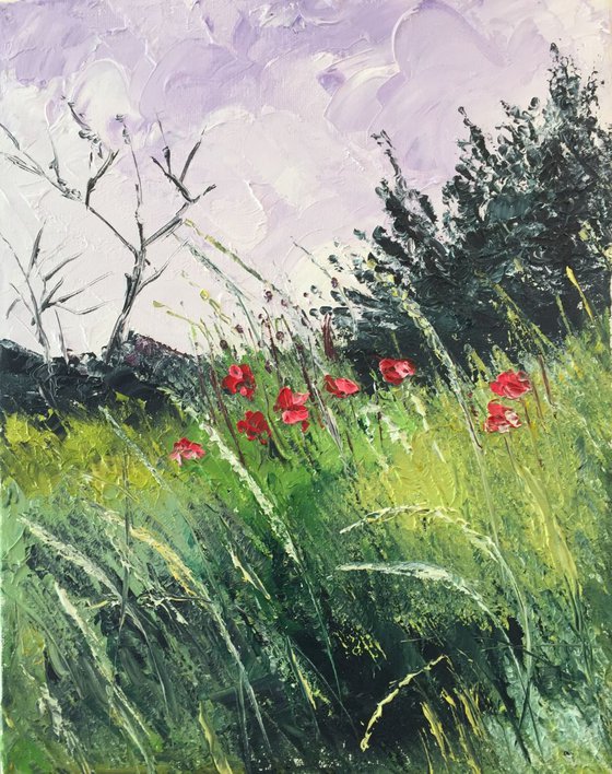 Meadow and poppies