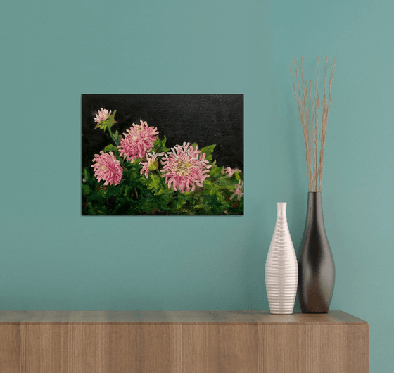 DAHLIAS