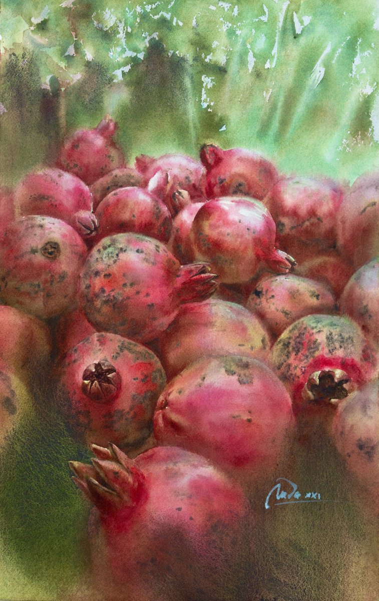 Impressionistic Still Life Watercolour By Lida Duchnewitsch, 12 X 20", Ripe Pomegranates, Original Artwork