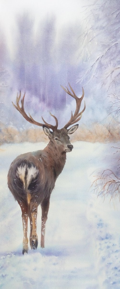 Follow Me! by Olga Beliaeva Watercolour