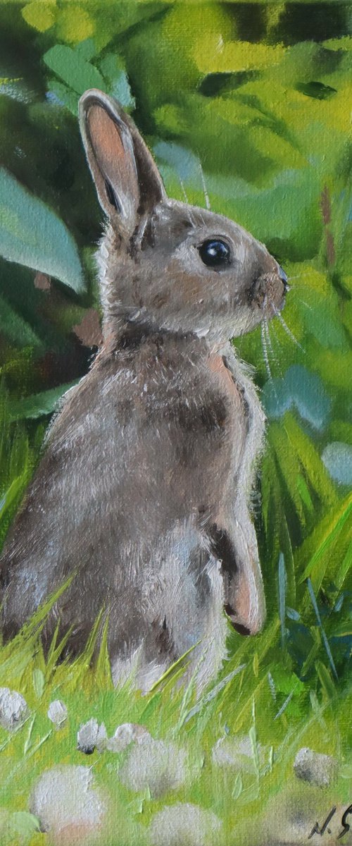 Little Bunny in Spring Grass by Natalia Shaykina