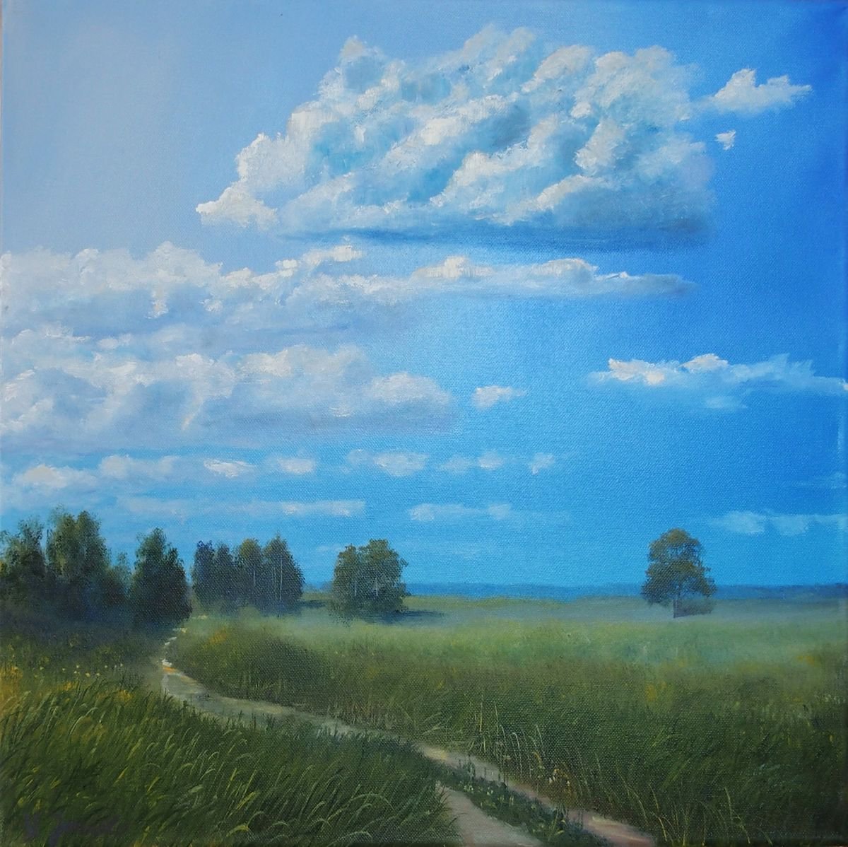 Photorealistic Landscape Oil Painting By Vladimir Jarmolo, 20 X 20", Clouds, Original Artwork