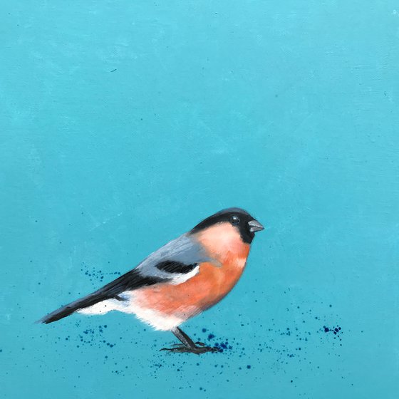 Bullfinch ~ on duck egg blue