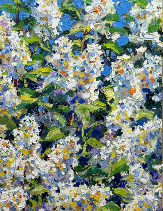 Breath of spring