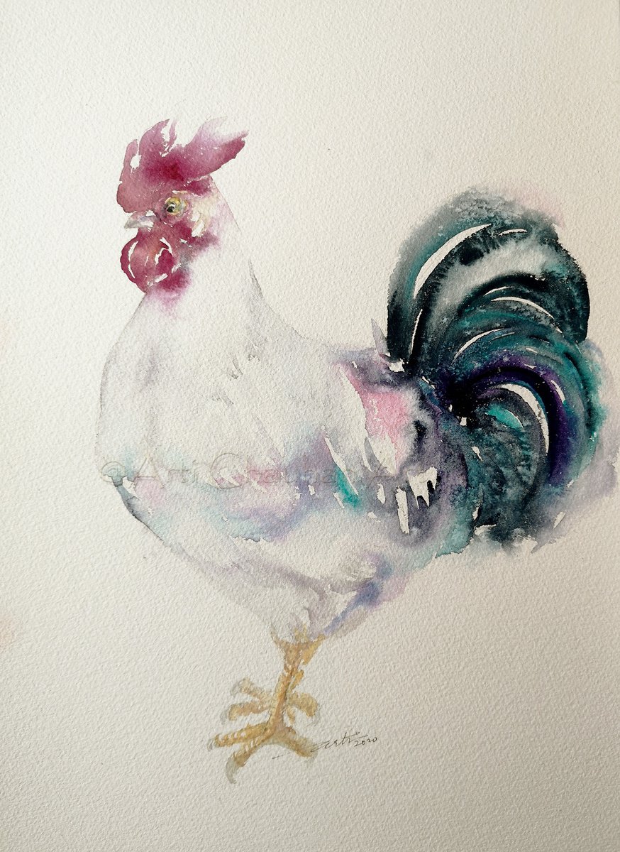 White Rooster_ Mave by Arti Chauhan