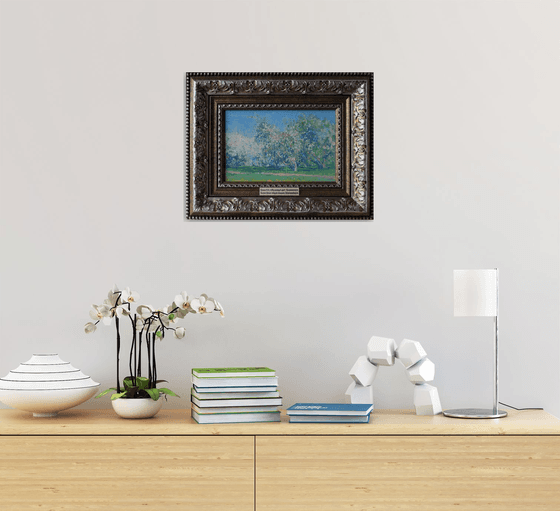 Apple blossom. Kolomenskoye