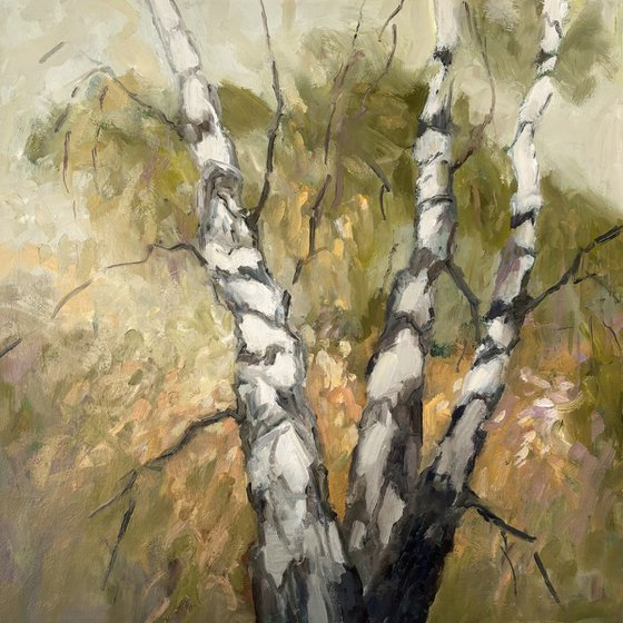 Birch Forest 2