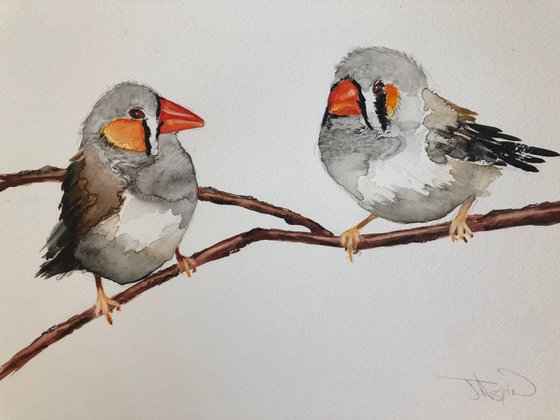 Finches