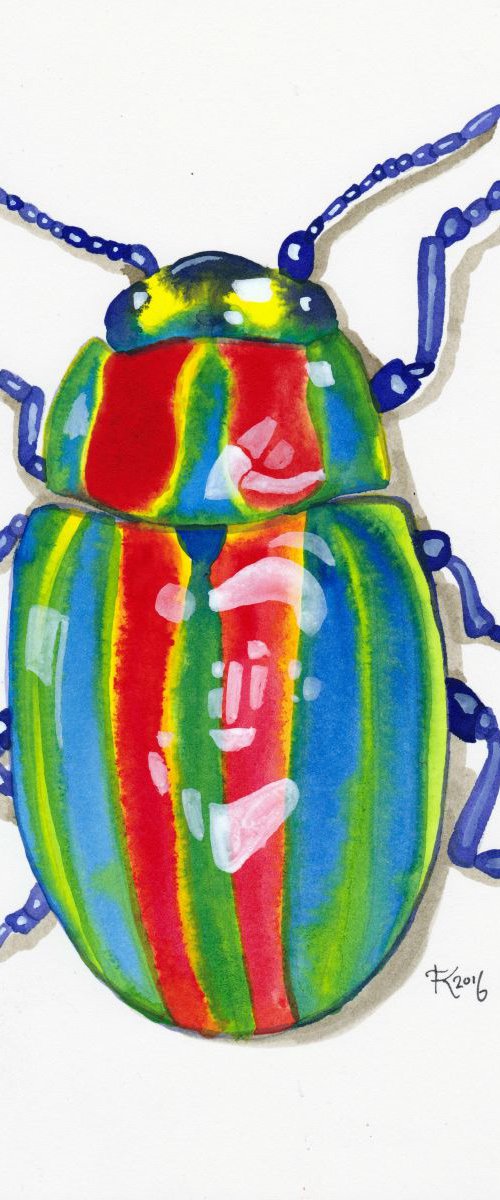 Rainbow Bug by Terri Smith