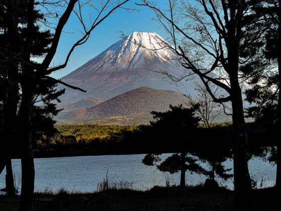 FUJI GLIMPSE