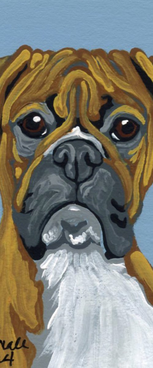 Boxer Pet Dog by Carla Smale