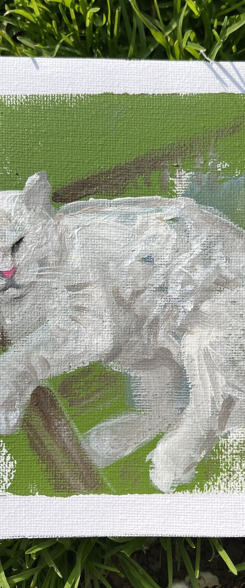 White cat portrait painting by Yuliia Chaika