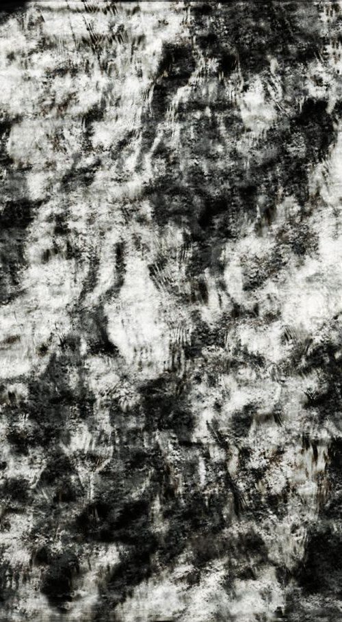 THE BEAST by Philippe berthier