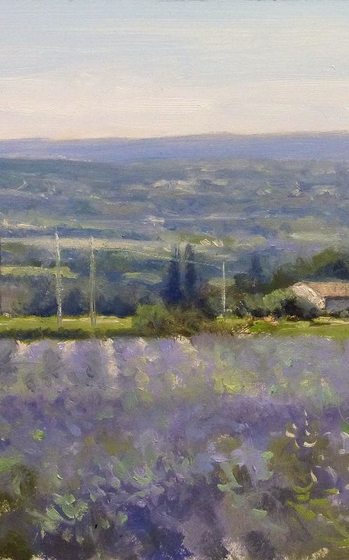 Lavender near Sault by Pascal Giroud
