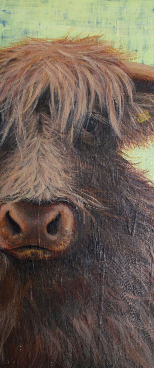 Highland Cow /  ORIGINAL PAINTING by Salana Art Gallery