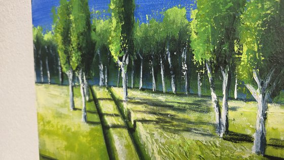 Long Shadows