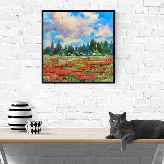 Happy Poppy-land