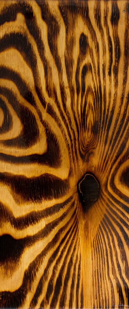 "Myela" (40x30x3cm) - Unique wood burning artwork and epoxy resin (abstract, fire, sculpture, original, epoxy, burning, wood) by Rouzbeh Tahmassian