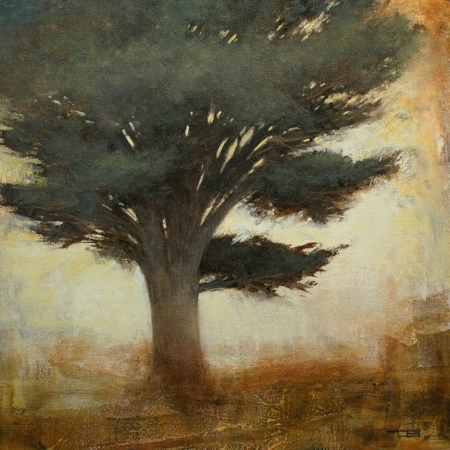Coastal Cypress 220404, Tonal Monterey Cypress tree painting Oil