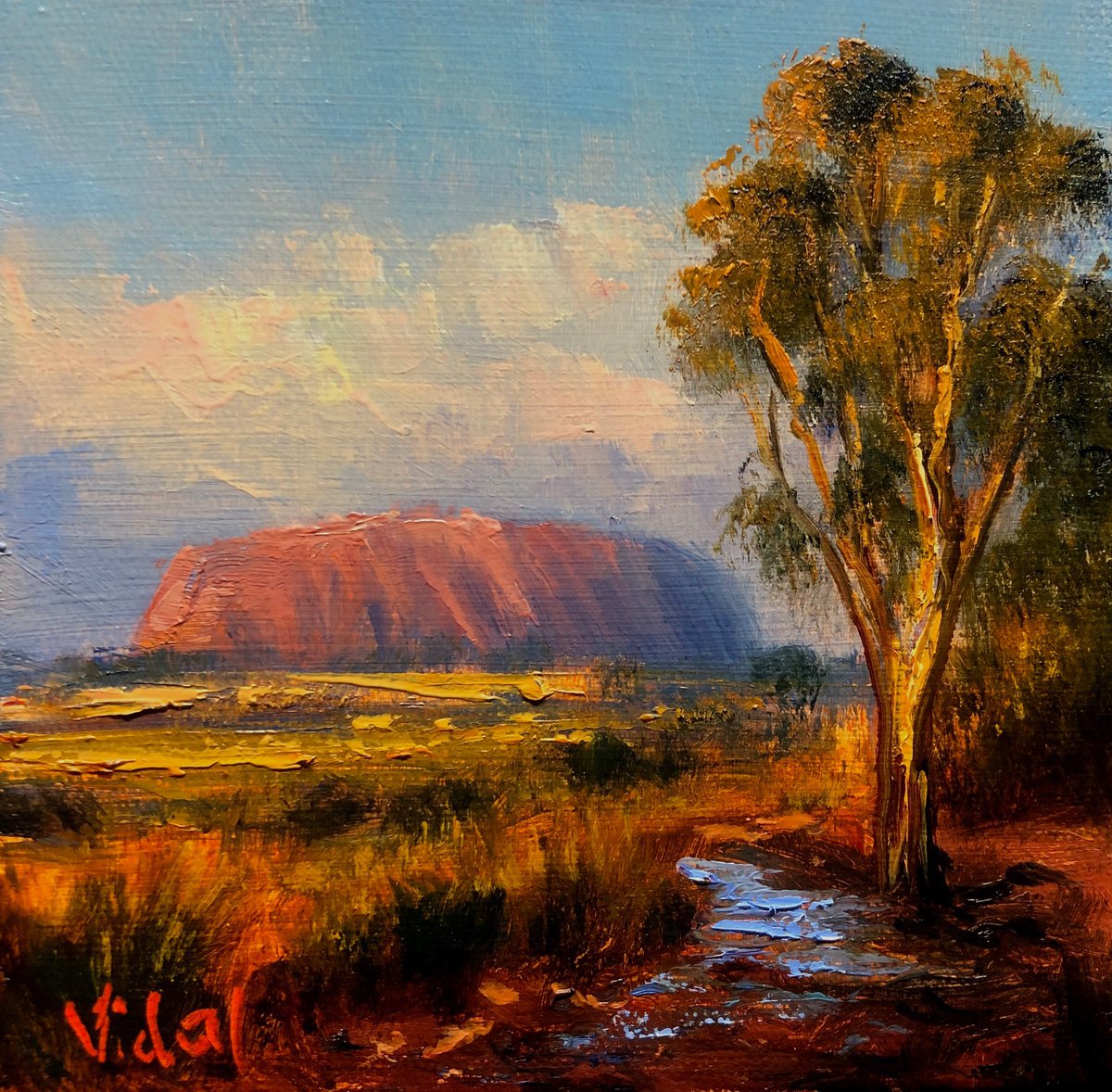 The Red Centre by Christopher Vidal