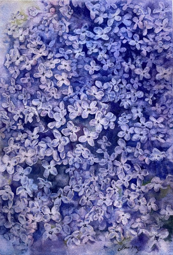 Lilac dreams