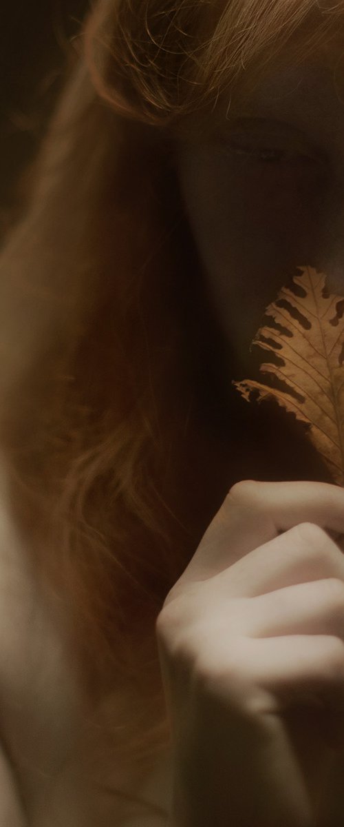 Autumn is leaving us by Mariska Karto