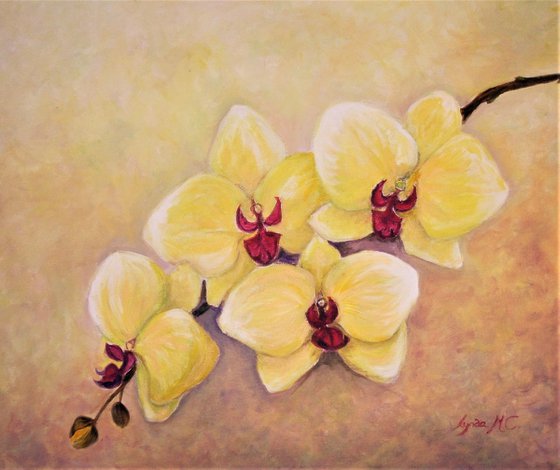 YELLOW ORCHID