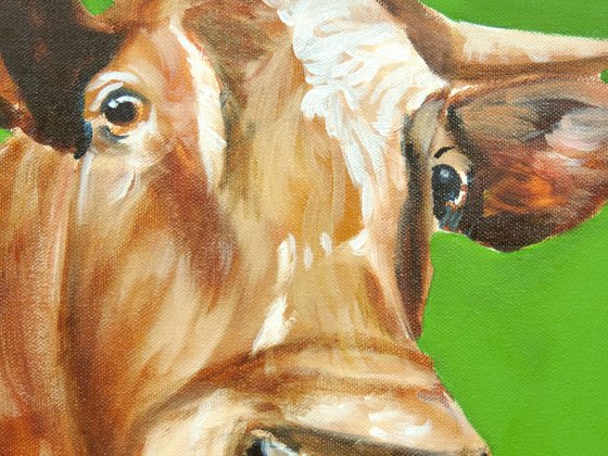 Cow painting