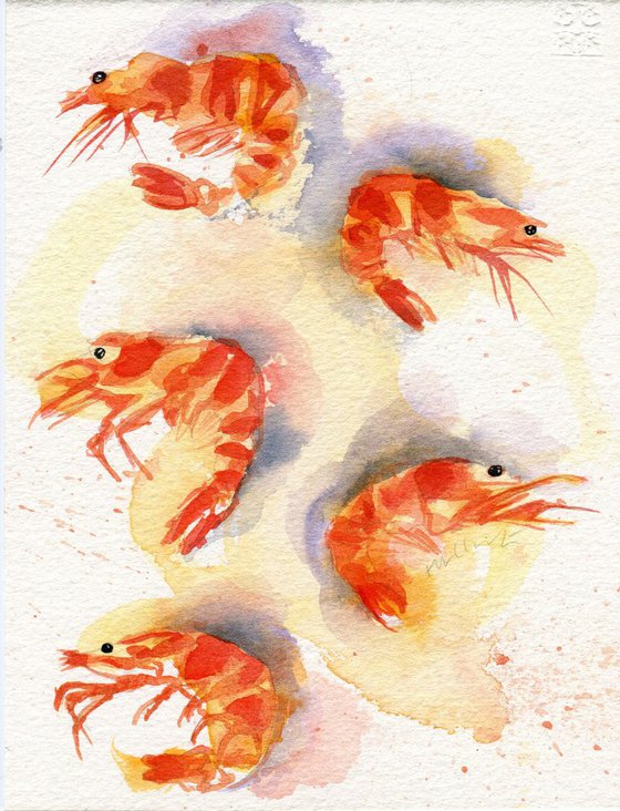 Original Watercolour Painting of Five Prawns