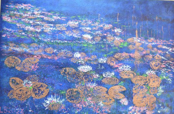 The Midnight Waterlilies