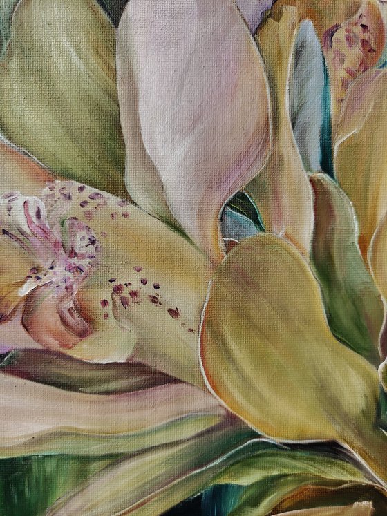 Orchids