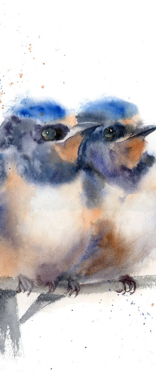 Pair of Barn Swallows by Olga Tchefranov (Shefranov)
