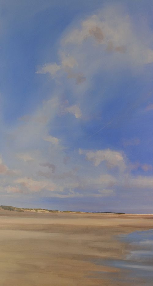 Scolt Head Island by Tom Cringle