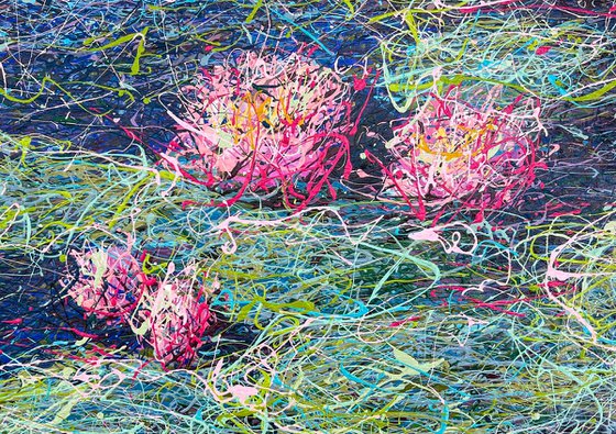 Pink Water lilies