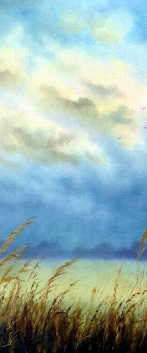 EVENING SKY by BARBARA  HARLOW