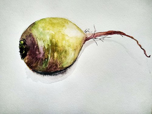 Turnip by Ann Krasikova