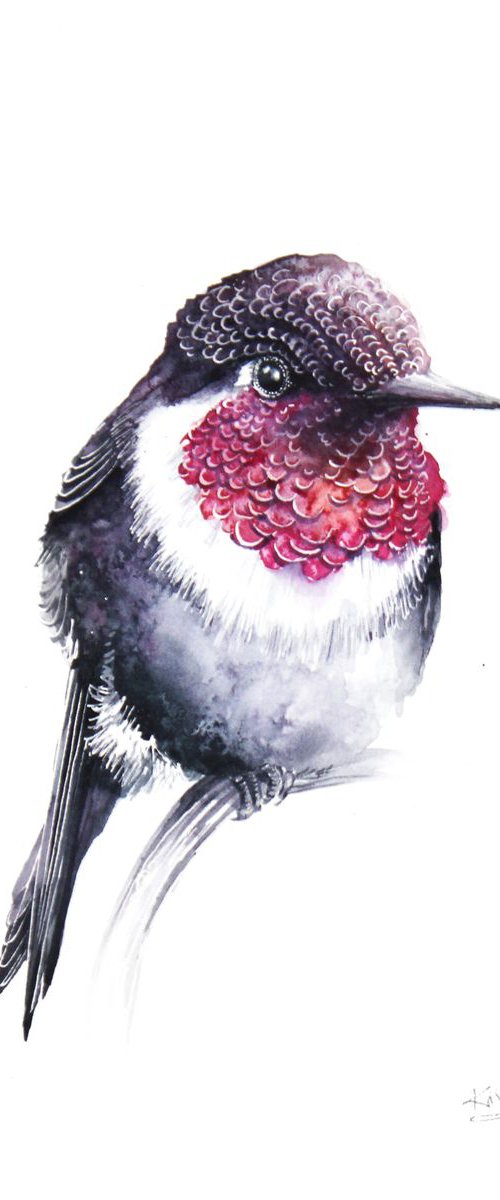 Hummingbird, wildlife, birds and nature watercolour by Karolina Kijak