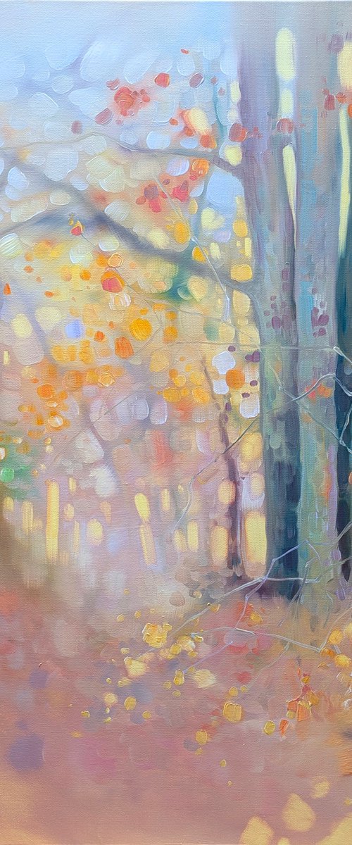 Ashdown Forest Path by Gill Bustamante