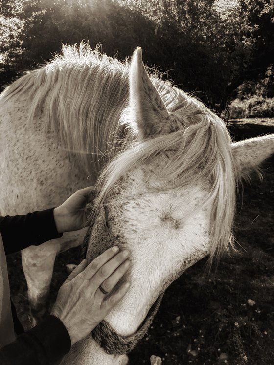The touch