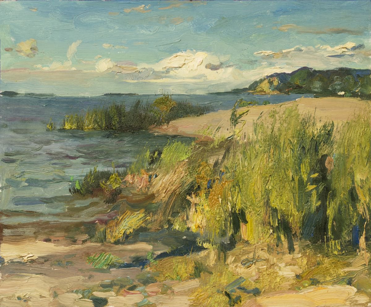 Impressionistic Landscape Oil Painting By Sergey Kostov, 12 X 10", Sunny Day On The Dnieper River, Original Artwork